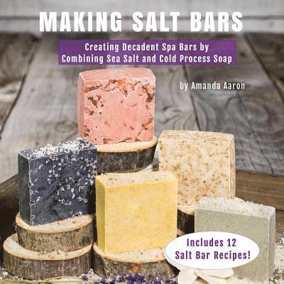 Amanda Gail Aaron - Making Salt Bars: Creating Decadent Spa Bars by Combining Sea Salt and Cold Process Soap, Häftad