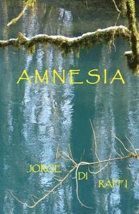 bokomslag Amnesia
