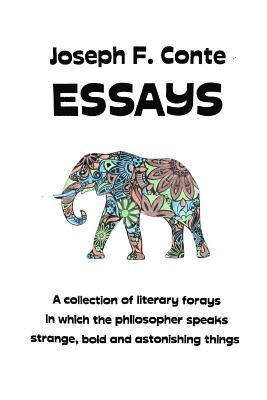 bokomslag Essays