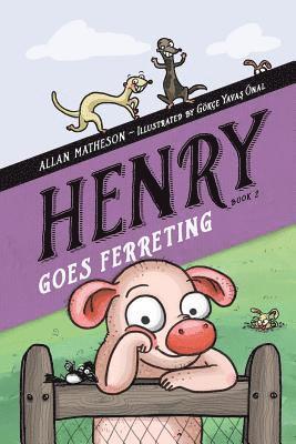 Allan Matheson - Henry Goes Ferreting, Häftad