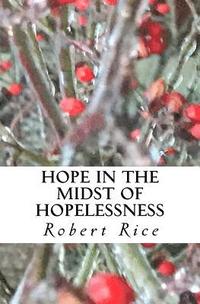 bokomslag Hope in the Midst of Hopelessness: Advent Devotions from the Book of Ruth