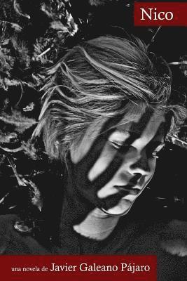 Javier Galeano Pajaro - Nico, Häftad