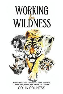 bokomslag Working for Wildness: A Naturalist Guide's Travels in the Arctic, Antarctica, Africa, India, Russia, New Zealand and Scotland