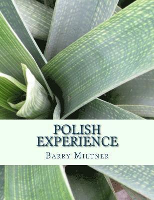 Polish Experience 1