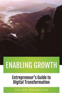 bokomslag Enabling Growth: Entrepreneur's Guide to Digital Transformation