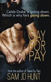 bokomslag Gay for Pay