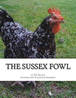 bokomslag The Sussex Fowl: The History and Breeding of Sussex Chickens