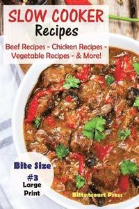 bokomslag Slow Cooker Recipes - Bite Size #3