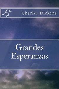 bokomslag Grandes Esperanzas