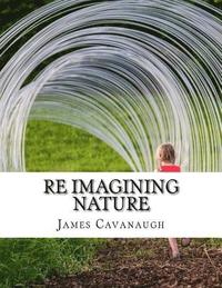 bokomslag Re Imagining Nature