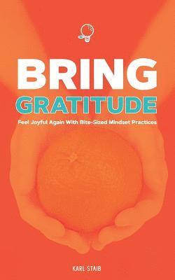bokomslag Bring Gratitude: Feel Joyful Again with Bite-Sized Mindset Practices