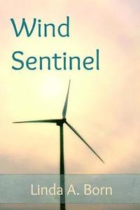 bokomslag Wind Sentinel