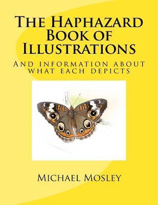 The Haphazard Book of Illustrations: And information about what each depicts 1