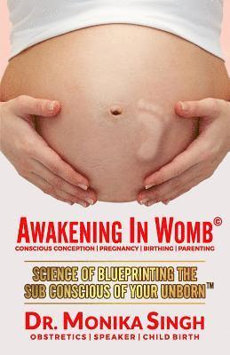 bokomslag Awakening In Womb: Science of Blueprinting the Subconscious Mind of Your Unborn