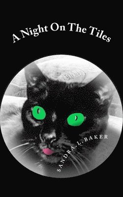 Sandra L. Baker - A Night On The Tiles, Häftad