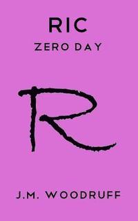 bokomslag Zero Day