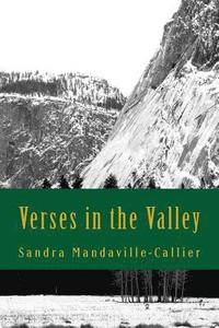 bokomslag Verses in the Valley: Poems and Prayers for Pursuing Your Purpose