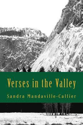Verses in the Valley: Poems and Prayers for Pursuing Your Purpose 1