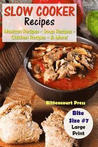 bokomslag Slow Cooker Recipes - Bite Size #7