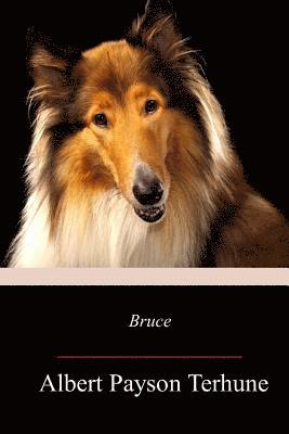 Bruce 1