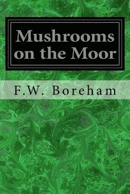 Mushrooms on the Moor 1