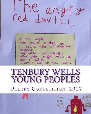 bokomslag Tenbury Wells Young People's Poetry Competition 2017