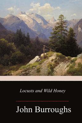 bokomslag Locusts and Wild Honey