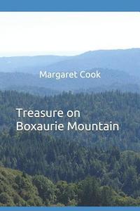 bokomslag Treasure on Boxaurie Mountain