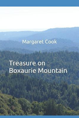 bokomslag Treasure on Boxaurie Mountain