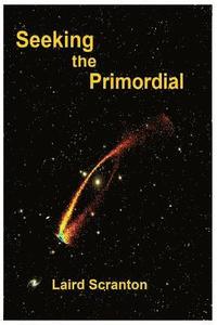 bokomslag Seeking the Primordial: Exploring Root Concepts of Cosmological Creation