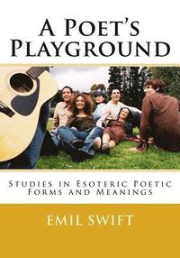 bokomslag A Poet's Playground: Studies in Esoteric Poetic Forms & Meaning
