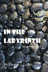 bokomslag In the Labyrinth (B&W Edition)