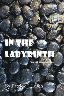 In the Labyrinth (B&W Edition) 1