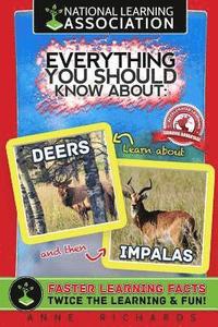 bokomslag Everything You Should Know About: Deers and Impalas
