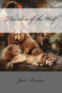 bokomslag The Son of the Wolf
