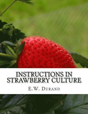 bokomslag Instructions in Strawberry Culture: or, How To Grow Strawberries