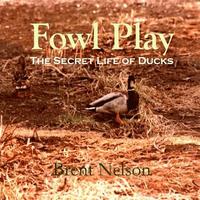 bokomslag Fowl Play: The Secret Life of Ducks
