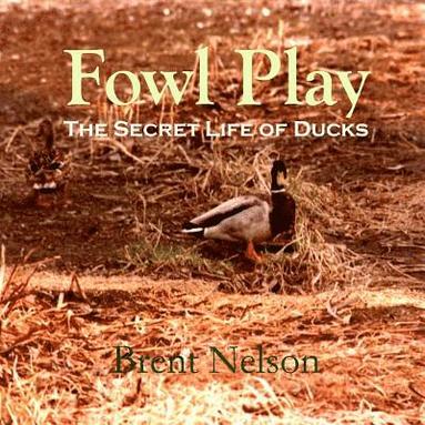 bokomslag Fowl Play: The Secret Life of Ducks