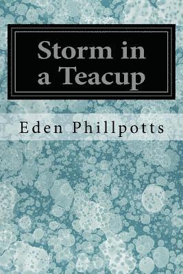 bokomslag Storm in a Teacup