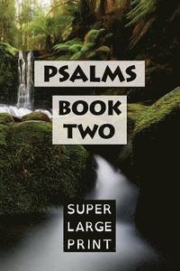 bokomslag Psalms: Book Two (KJV)
