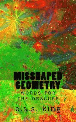 bokomslag Misshaped Geometry: words for the obscure