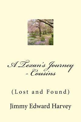 bokomslag A Texan's Journey - Cousins: (Lost and Found)