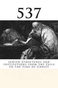 bokomslag 537: Jewish Structures and Institutions from the Exile to the Time of Christ