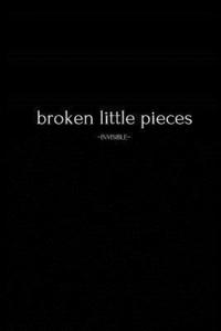 bokomslag broken little pieces: Invisible