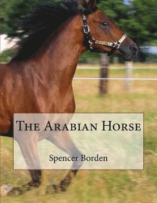 bokomslag The Arabian Horse