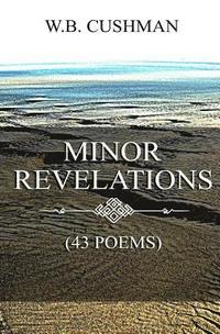 bokomslag Minor Revelations: (43 Poems)