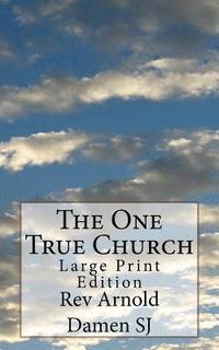 bokomslag The One True Church: Large Print Edition