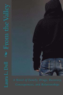 bokomslag From the Valley: A Novel of Family, Drugs, Recovery, Consequences, and Relationships
