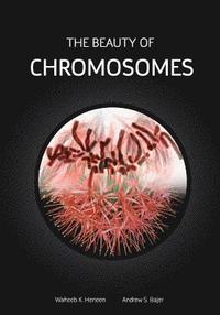 bokomslag The Beauty of Chromosomes