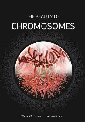 bokomslag The Beauty of Chromosomes